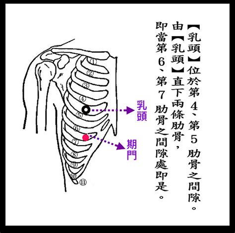 旗門穴|期門穴